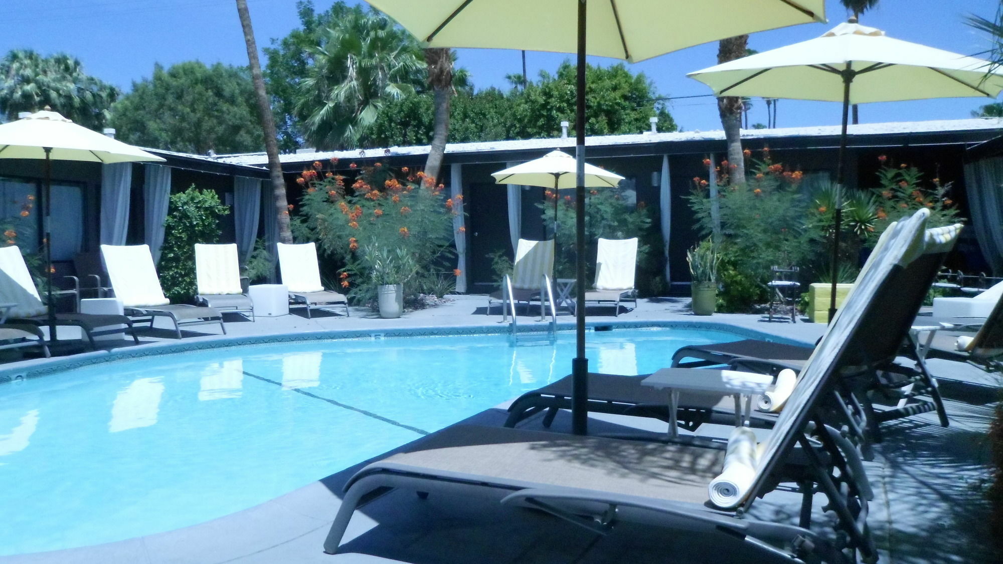 Avanti Hotel Palm Springs Exterior photo